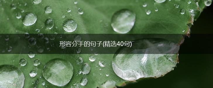 形容分手的句子(精选40句),第1张
