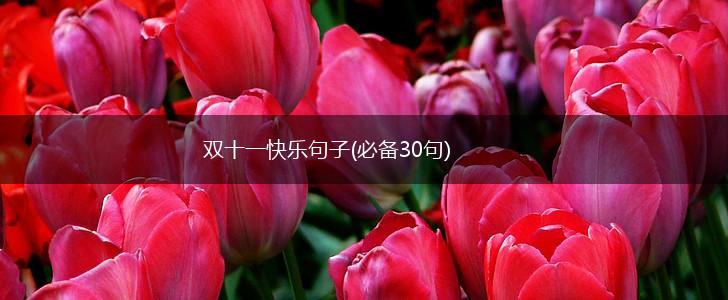 双十一快乐句子(必备30句),第1张