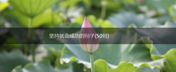 坚持就会成功的句子(50句),第1张