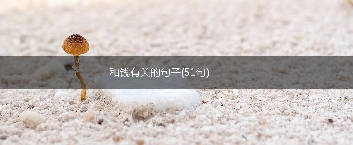 和钱有关的句子(51句),第1张