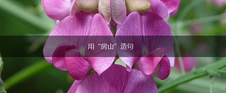 用“房山”造句,第1张 用“房山”造句,第1张