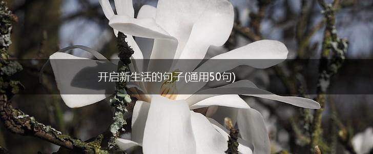 开启新生活的句子(通用50句),第1张