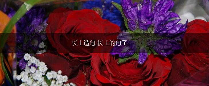 长上造句 长上的句子,第1张