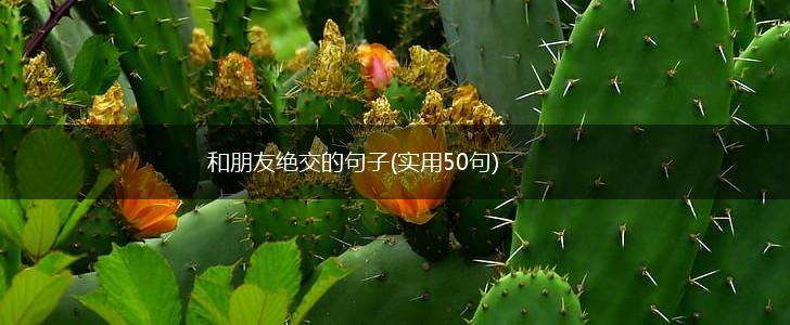 和朋友绝交的句子(实用50句),第1张