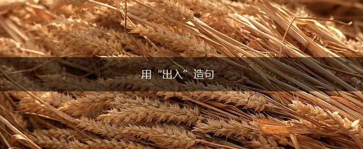 用“出入”造句,第1张