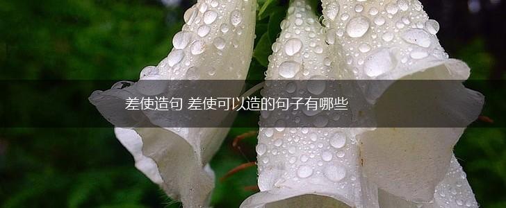 差使造句 差使可以造的句子有哪些,第1张
