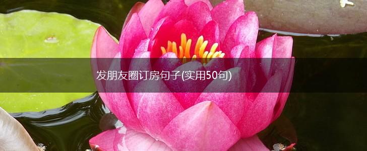发朋友圈订房句子(实用50句),第1张