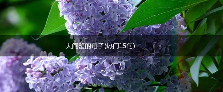大闸蟹的句子(热门15句),第1张