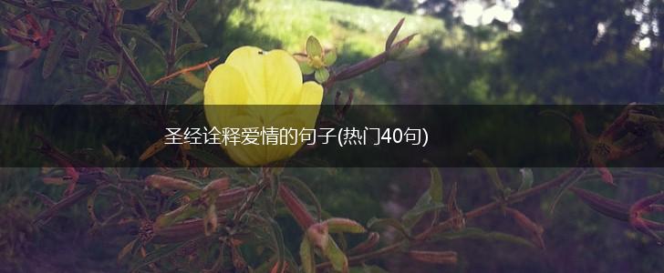 圣经诠释爱情的句子(热门40句),第1张