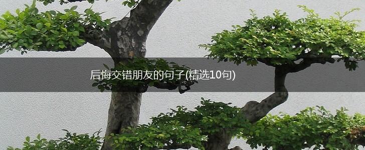 后悔交错朋友的句子(精选10句),第1张
