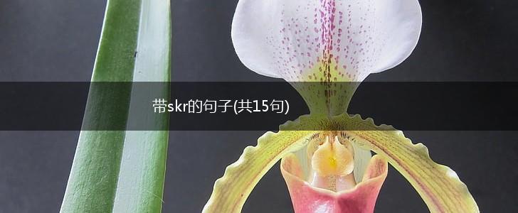 带skr的句子(共15句),第1张