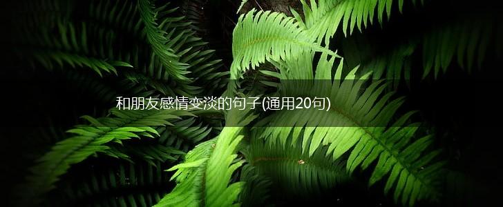 和朋友感情变淡的句子(通用20句),第1张