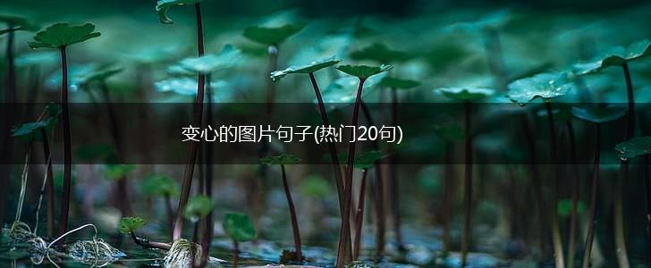 变心的图片句子(热门20句),第1张