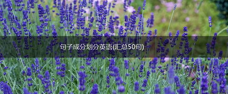 句子成分划分英语(汇总50句),第1张