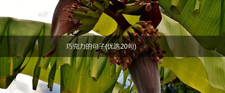 巧克力的句子(优选20句),第1张