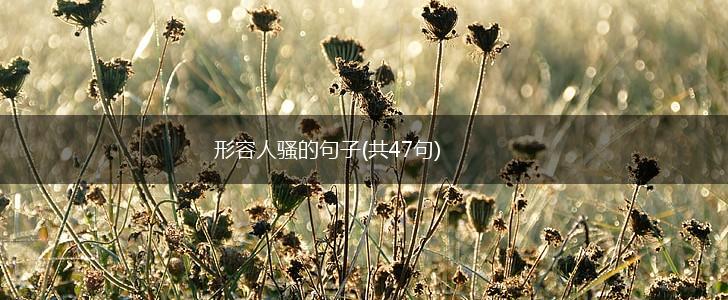 形容人骚的句子(共47句),第1张