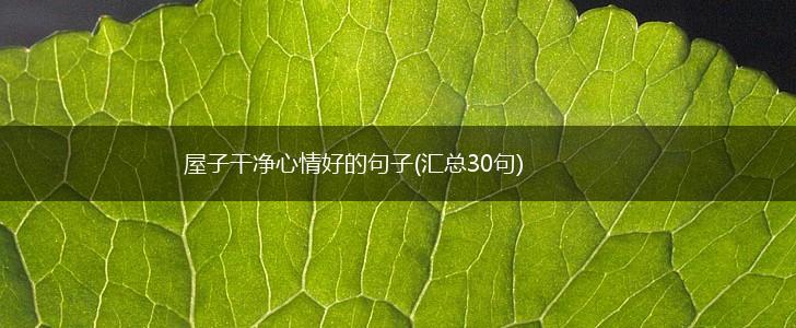 屋子干净心情好的句子(汇总30句),第1张