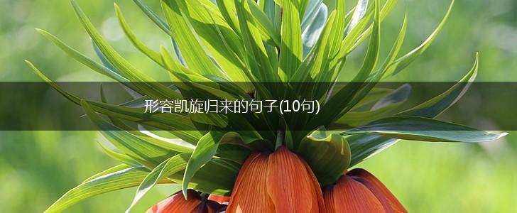 形容凯旋归来的句子(10句),第1张