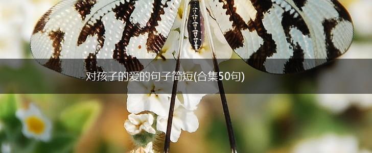 对孩子的爱的句子简短(合集50句),第1张