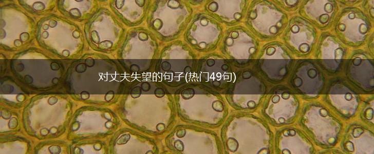 对丈夫失望的句子(热门49句),第1张