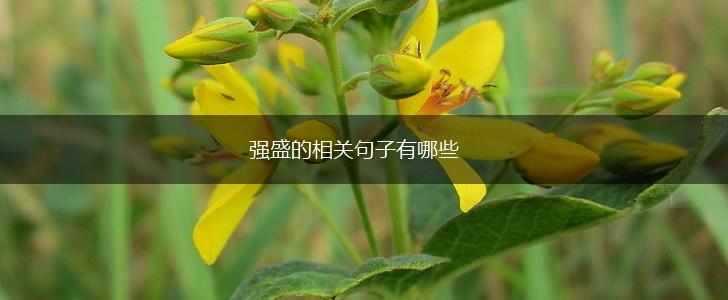 强盛的相关句子有哪些,第1张 强盛的相关句子有哪些,第1张
