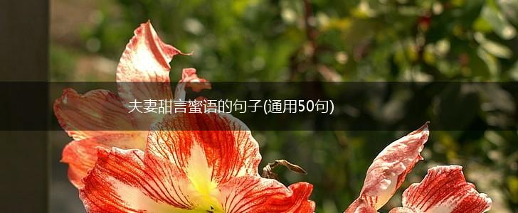夫妻甜言蜜语的句子(通用50句),第1张