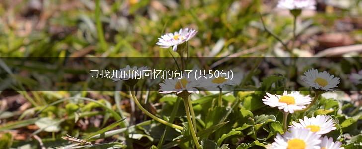 寻找儿时的回忆的句子(共50句),第1张
