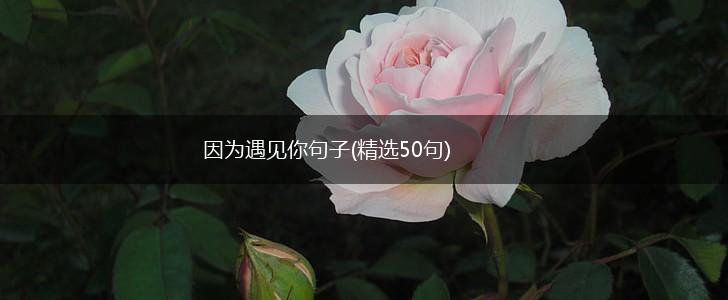 因为遇见你句子(精选50句),第1张