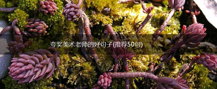夸奖美术老师的好句子(推荐50句),第1张