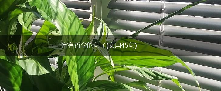 富有哲学的句子(实用45句),第1张