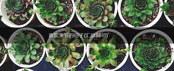 喜欢季节的句子(汇总38句),第1张