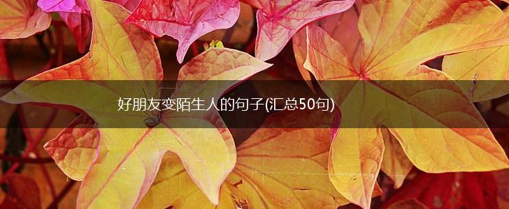 好朋友变陌生人的句子(汇总50句),第1张