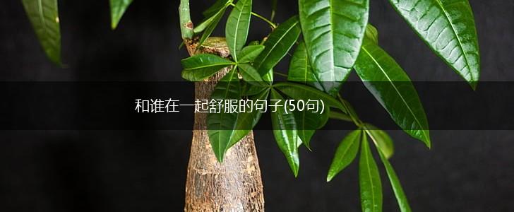 和谁在一起舒服的句子(50句),第1张