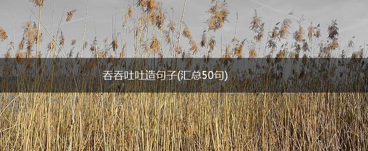 吞吞吐吐造句子(汇总50句),第1张