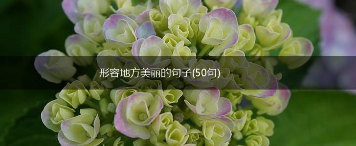 形容地方美丽的句子(50句),第1张