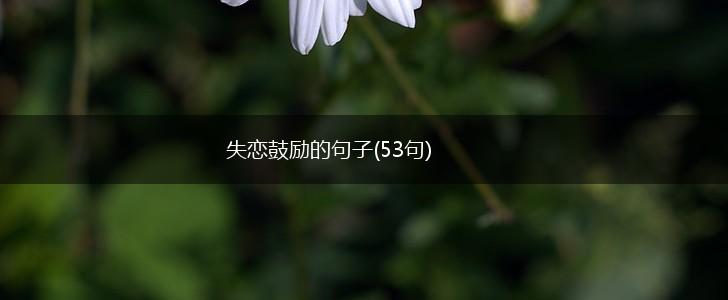 失恋鼓励的句子(53句),第1张