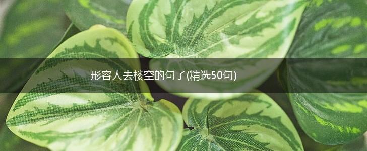 形容人去楼空的句子(精选50句),第1张