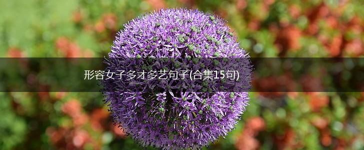 形容女子多才多艺句子(合集15句),第1张