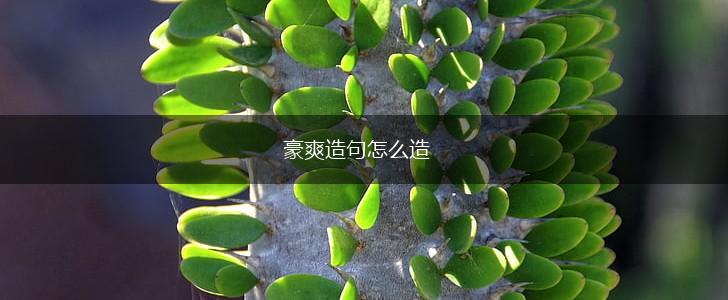 豪爽造句怎么造,第1张 豪爽造句怎么造,第1张
