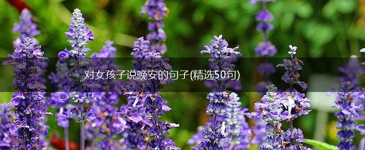 对女孩子说晚安的句子(精选50句),第1张