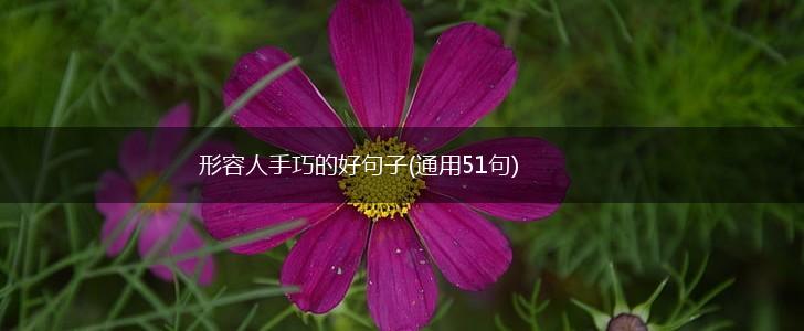 形容人手巧的好句子(通用51句),第1张