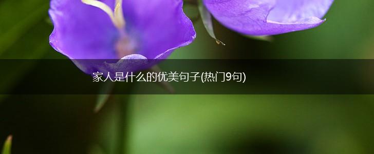 家人是什么的优美句子(热门9句),第1张