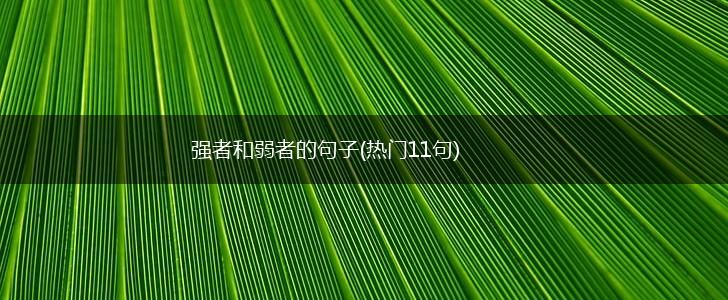 强者和弱者的句子(热门11句),第1张