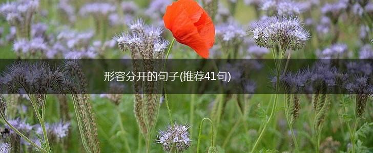 形容分开的句子(推荐41句),第1张