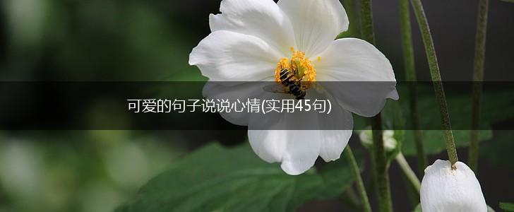 可爱的句子说说心情(实用45句),第1张