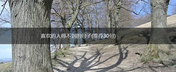 喜欢的人得不到的句子(推荐30句),第1张