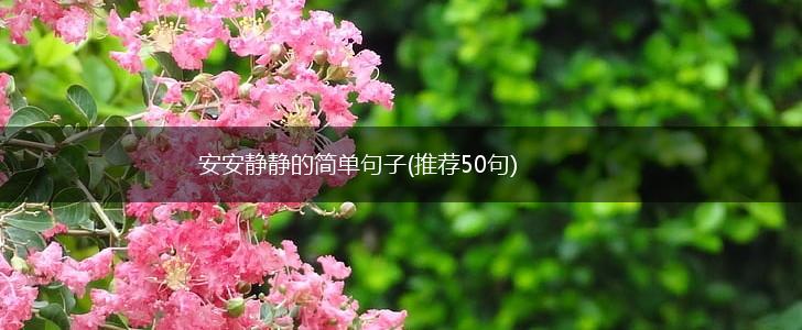 安安静静的简单句子(推荐50句),第1张