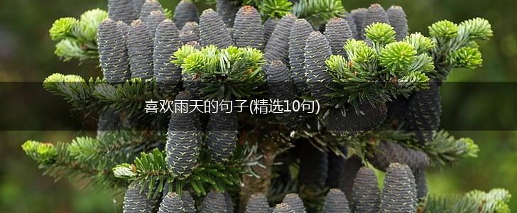 喜欢雨天的句子(精选10句),第1张
