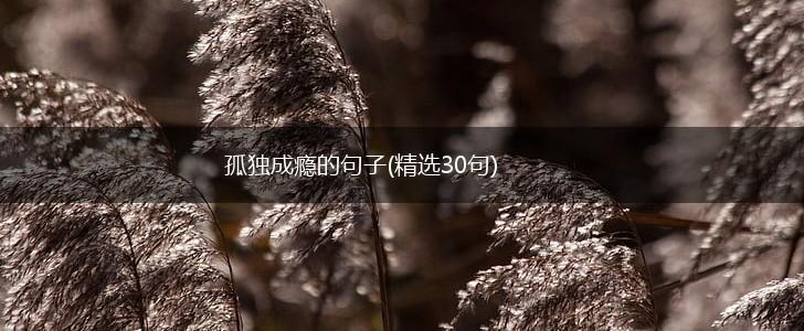 孤独成瘾的句子(精选30句),第1张