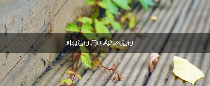 叫魂造句,用叫魂怎么造句,第1张 叫魂造句,用叫魂怎么造句,第1张